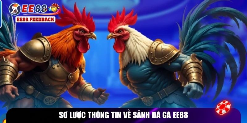 Sơ lược thông tin về sảnh đá gà EE88